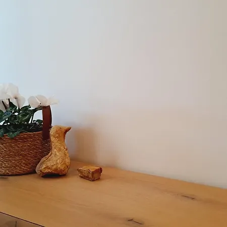 Albufeira Holiday home *